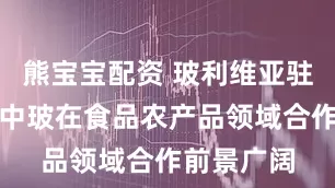 熊宝宝配资 玻利维亚驻华大使：中玻在食品农产品领域合作前景广阔