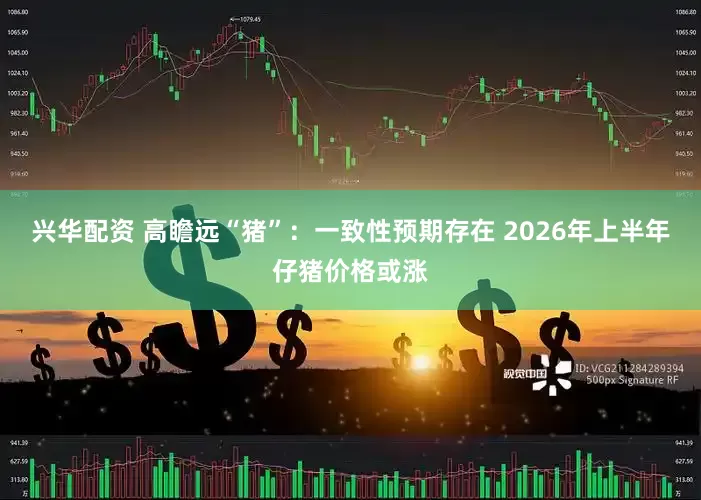 兴华配资 高瞻远“猪”：一致性预期存在 2026年上半年仔猪价格或涨