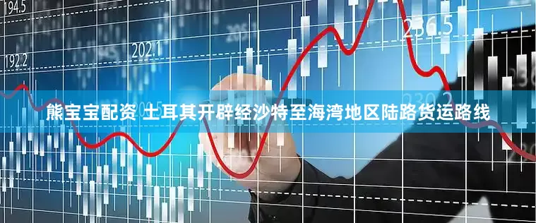 熊宝宝配资 土耳其开辟经沙特至海湾地区陆路货运路线